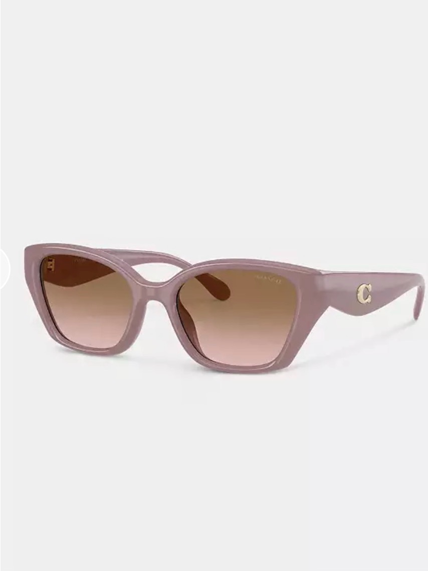 Coach C Hardware Square Cat Eye Sunglasses (Color Mutty) - Brand New